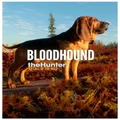 Expansive Worlds Thehunter Call Of The Wild Bloodhound PC Game